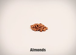 5337-Almonds-cropped-full-res copy